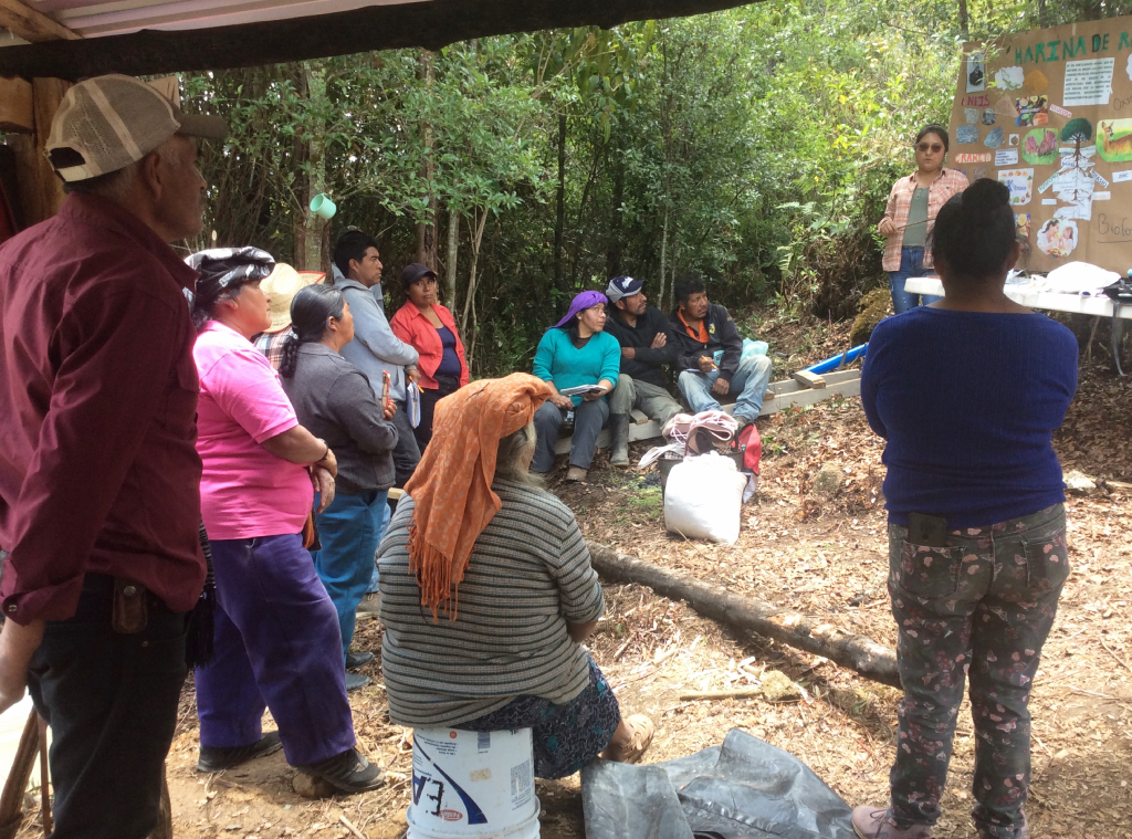 Proyecto nuevo-24