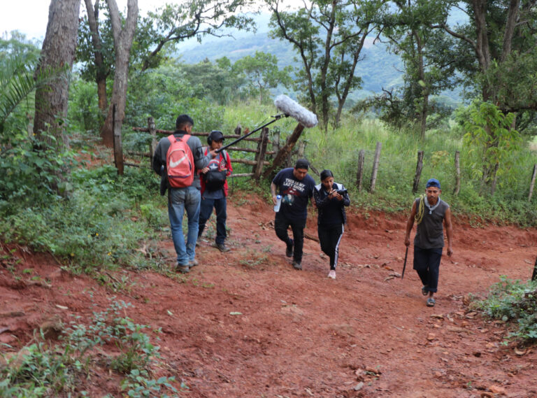 Proyecto nuevo-37