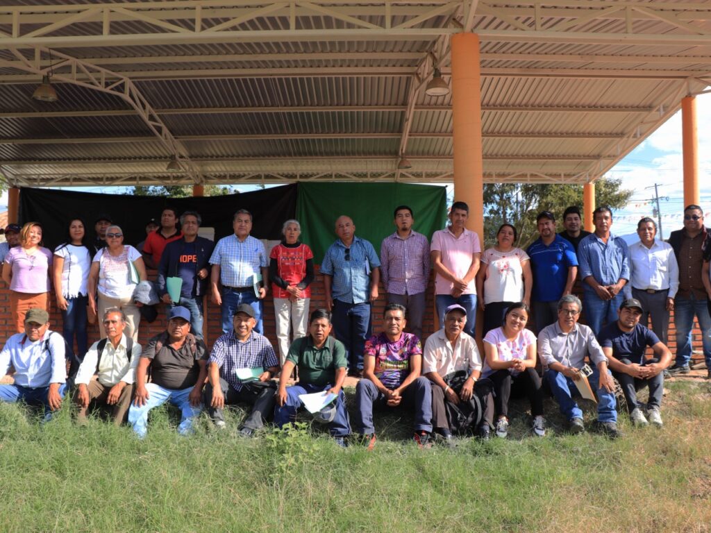 Consejo Estatal de Derechos Indígenas y Afromexicano de Oaxaca (CEDIAO)